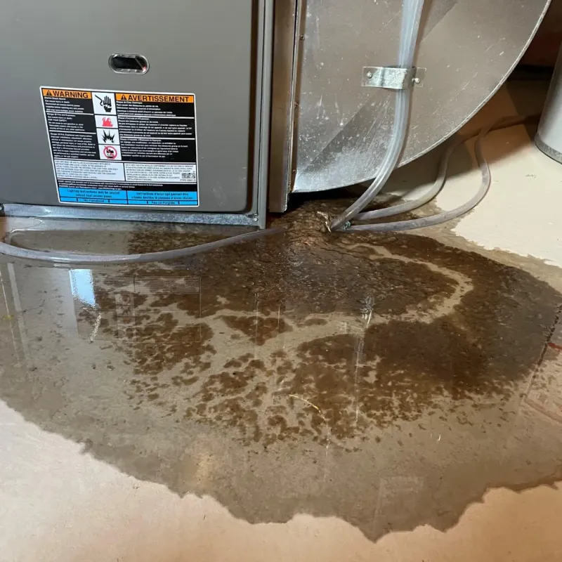 Appliance Leak Cleanup in Ainaloa, HI