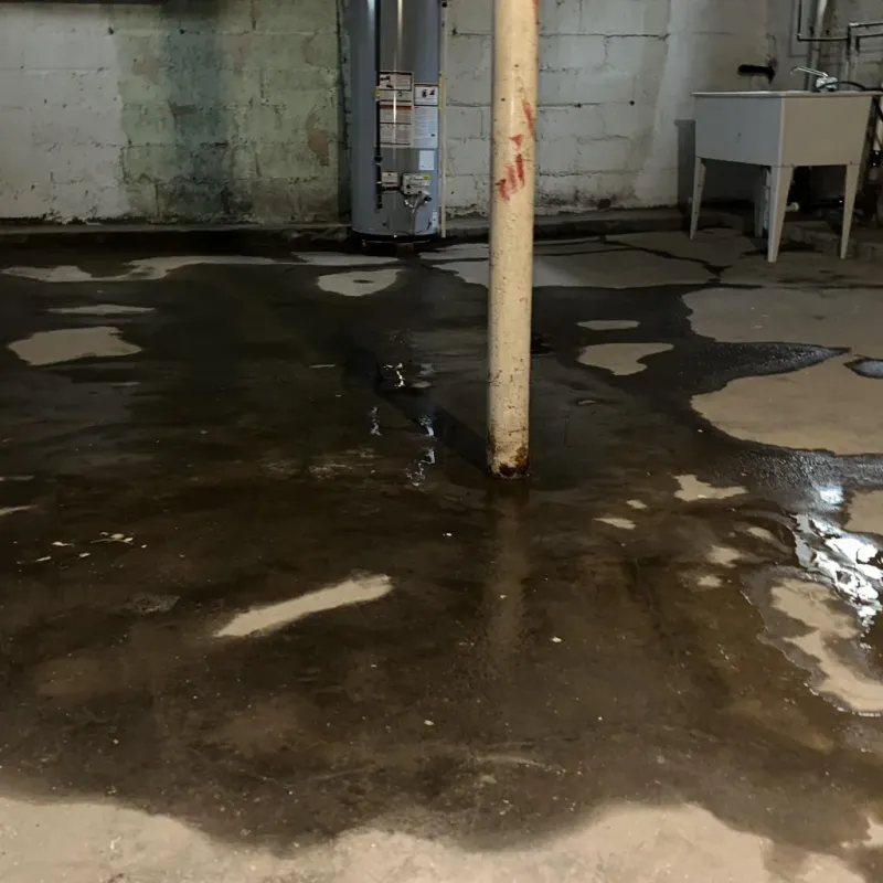 Emergency Water Extraction And Removal in Ainaloa, HI